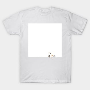 Multicolored cat in window T-Shirt